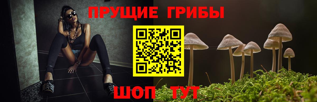 Псилоцибиновые грибы Magic Shrooms Ростов-на-Дону